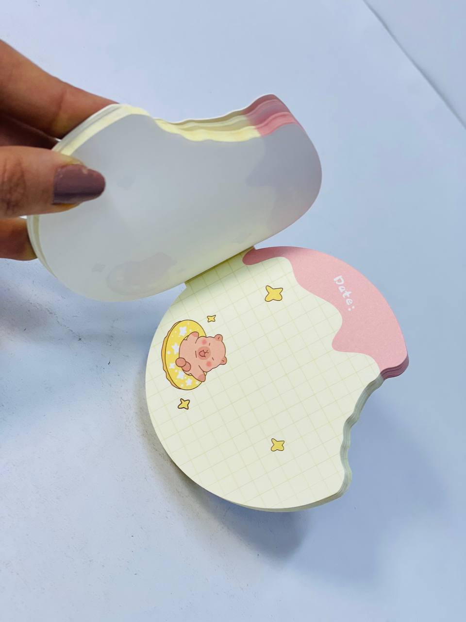 نوت بوك الدبدوب 🧸🧸🧸 المدور ⭕️⭕️