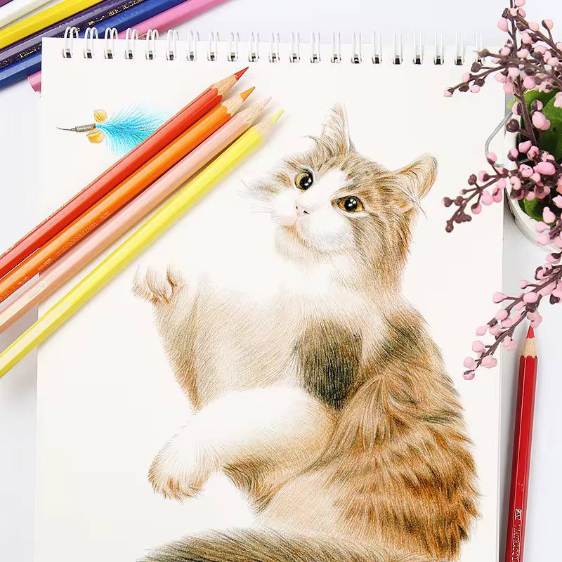 الوان الخشب 🖍🪵 FABER-CASTELL 🏇🏻 ٢٤ لون