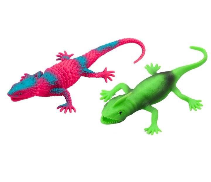 كيس الحيوانات 🐛🦎🐛🦎
