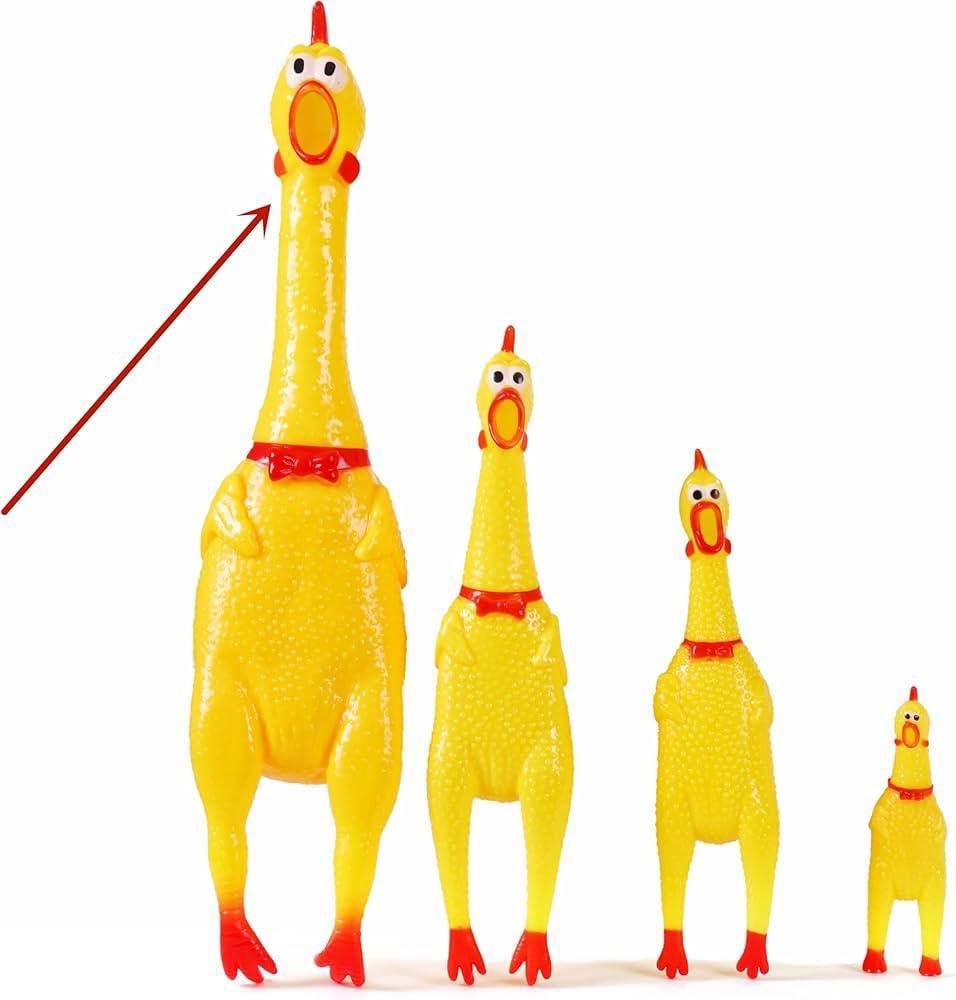 الفرخة المزعجة