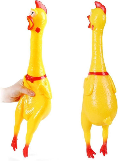 الفرخة المزعجة