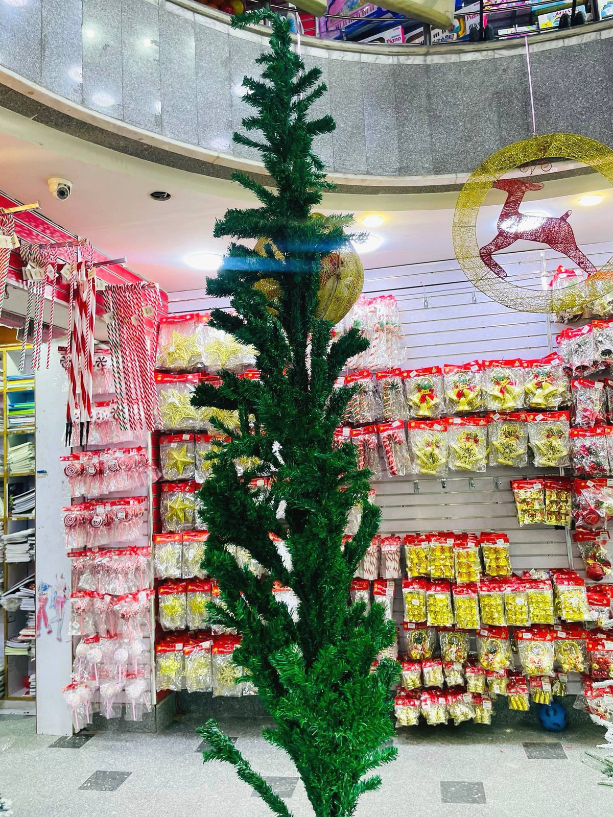 الشجرة  الأخضر : ٣٠٠ سم