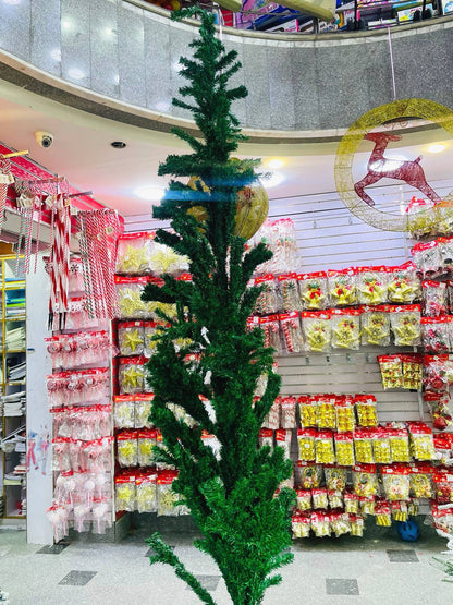 الشجرة  الأخضر : ٣٠٠ سم